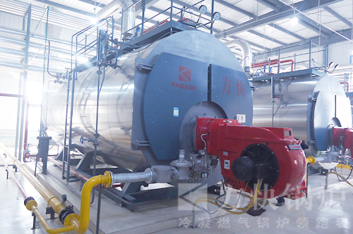 河北路易達孚飼料燃（rán）氣蒸汽鍋爐案例