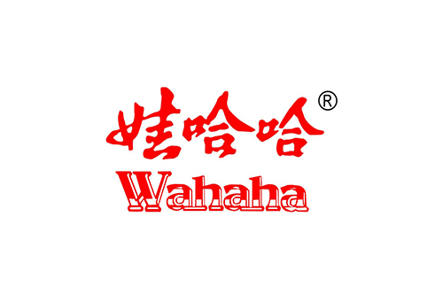 洛陽娃哈（hā）哈食品加工燃氣蒸汽鍋爐案例