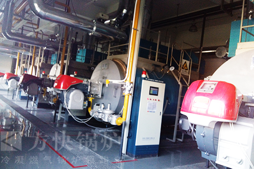 重慶五菱汽車燃氣熱水鍋（guō）爐案例（lì）