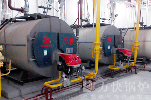 海（hǎi）南美麗之（zhī）冠酒店燃氣熱水鍋爐案例（lì）