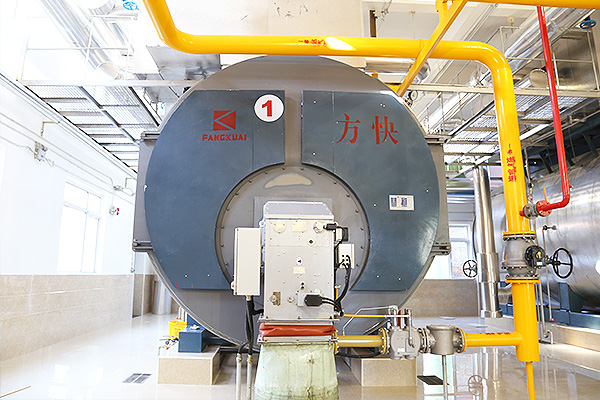 利民製藥有限公司4噸一體燃氣蒸汽鍋爐案（àn）例