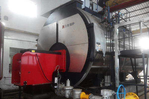 力邦製藥有限公司6噸一體燃（rán）氣蒸汽鍋爐案例