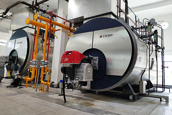 海南中化製藥6噸一體冷凝燃氣蒸汽鍋（guō）爐案例（lì）