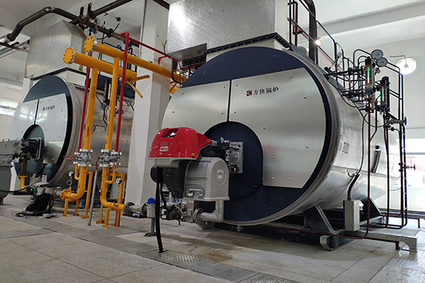 露露股（gǔ）份20噸（dūn）一體（tǐ）冷凝燃氣蒸汽鍋爐案例