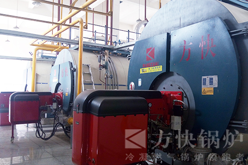 蘑菇传媒视频燃油氣蒸（zhēng）汽鍋爐案例
