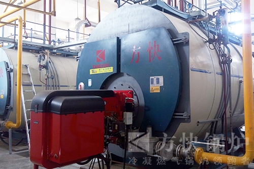 蘑菇传媒视频食品燃（rán）油氣（qì）蒸汽鍋爐案例