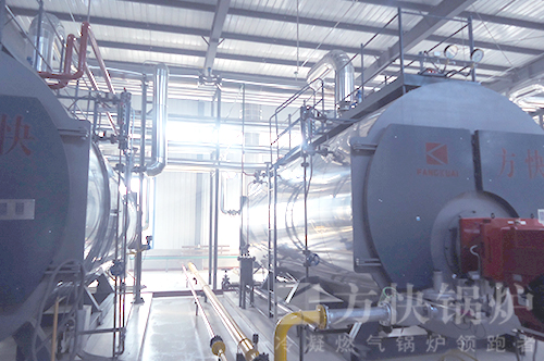 農牧行業燃油氣蒸汽鍋爐案例 農牧行業燃油氣蒸汽鍋爐案例