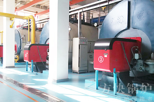 天津小區（qū）供熱熱水鍋爐案例