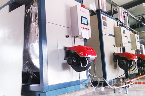 湖北酒店賓（bīn）館燃油氣真空鍋爐案例